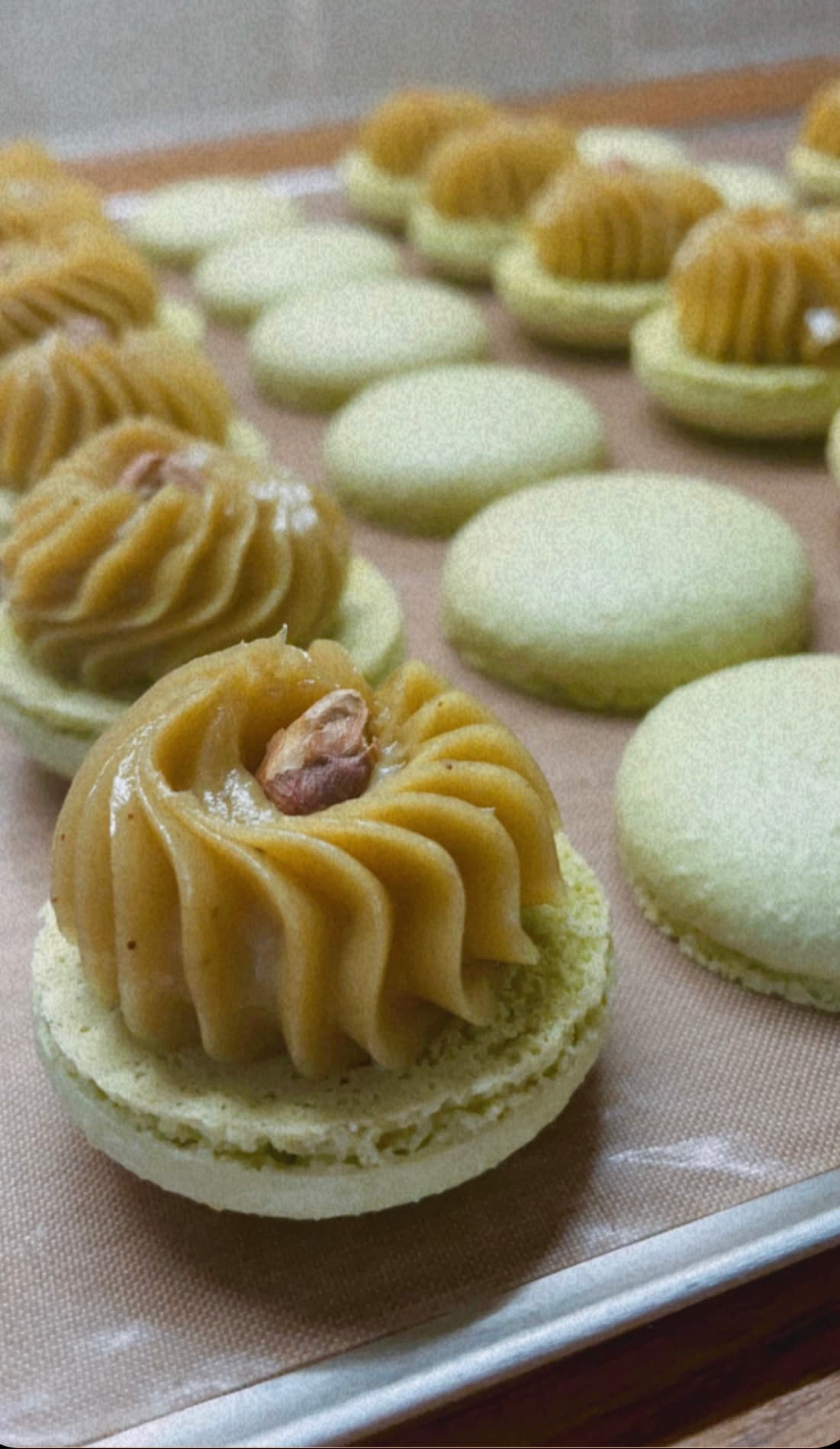 Pistachio macaron flavour by Almond